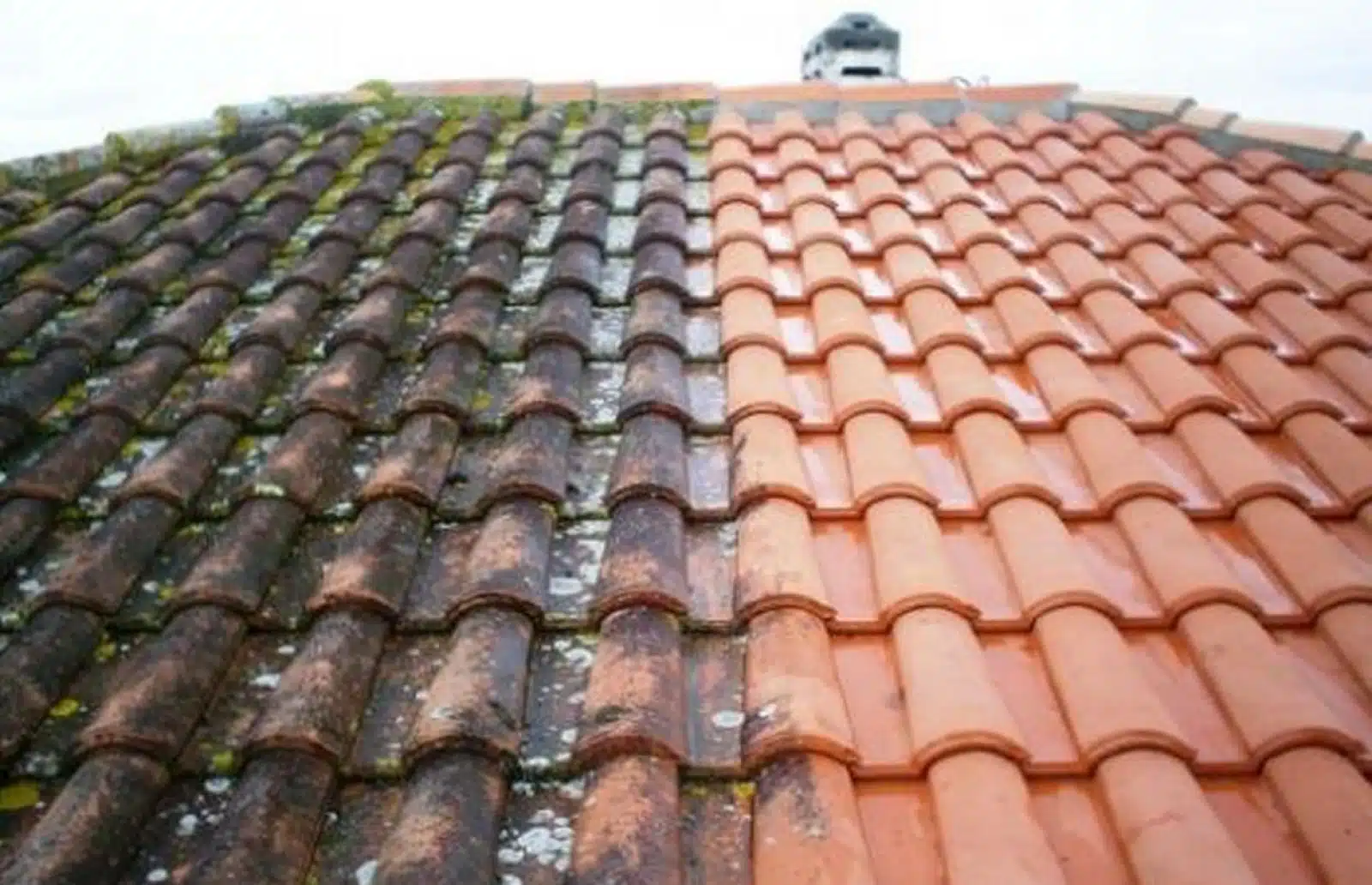 Application d’un traitement hydrofuge sur une toiture après démoussage — prestation proposée à Houilles